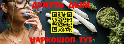 мдпв Татарск