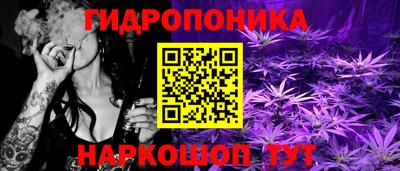 мдпв Татарск