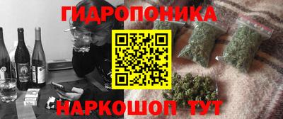 мдпв Татарск