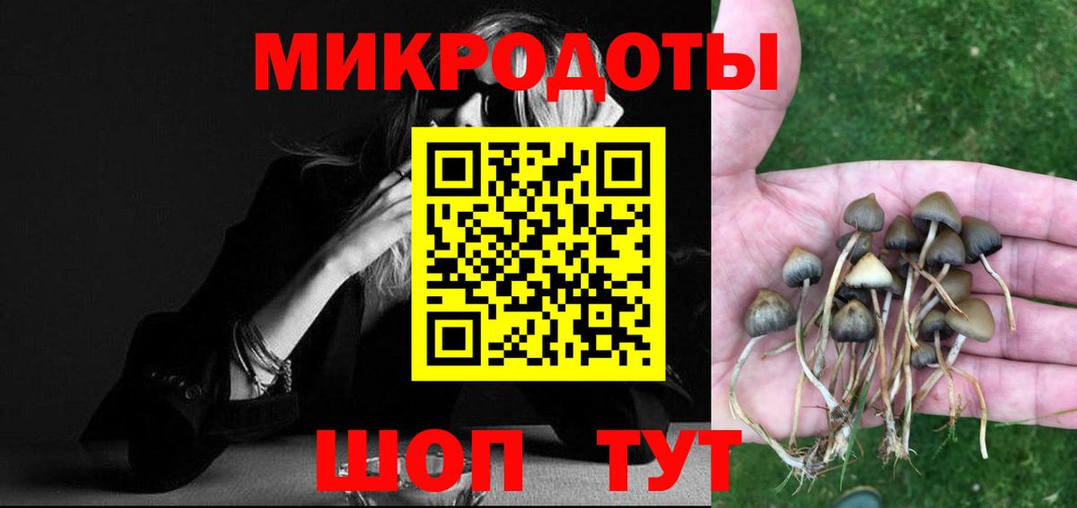 Галлюциногенные грибы MAGIC MUSHROOMS  цена наркотик  Муром  Вход с VPN  Галлюциногенные грибы мухоморы 