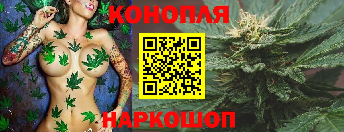Каннабис сатива  Вход с VPN  Муром  Канабис ГИДРОПОН 
